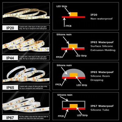 12mm 240leds 3000K-6500K CCT 双色 SMD2835 LEDストライプライト 24V 入力電圧