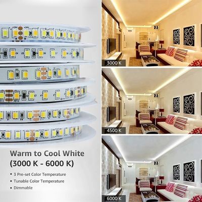 ブロードテック接続技術 IP20 SMD2835 LED ストライプライト