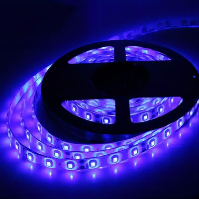 IP20 12V SMD2835 120LED/m LEDストライプライト