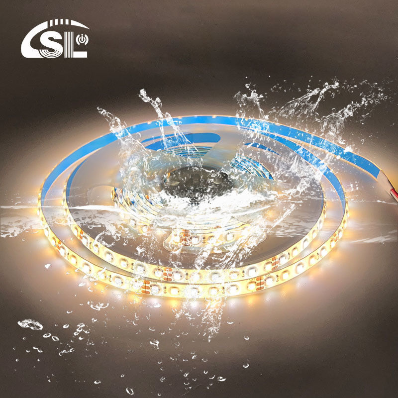 12mm 240leds 3000K-6500K CCT 双色 SMD2835 LEDストライプライト 24V 入力電圧