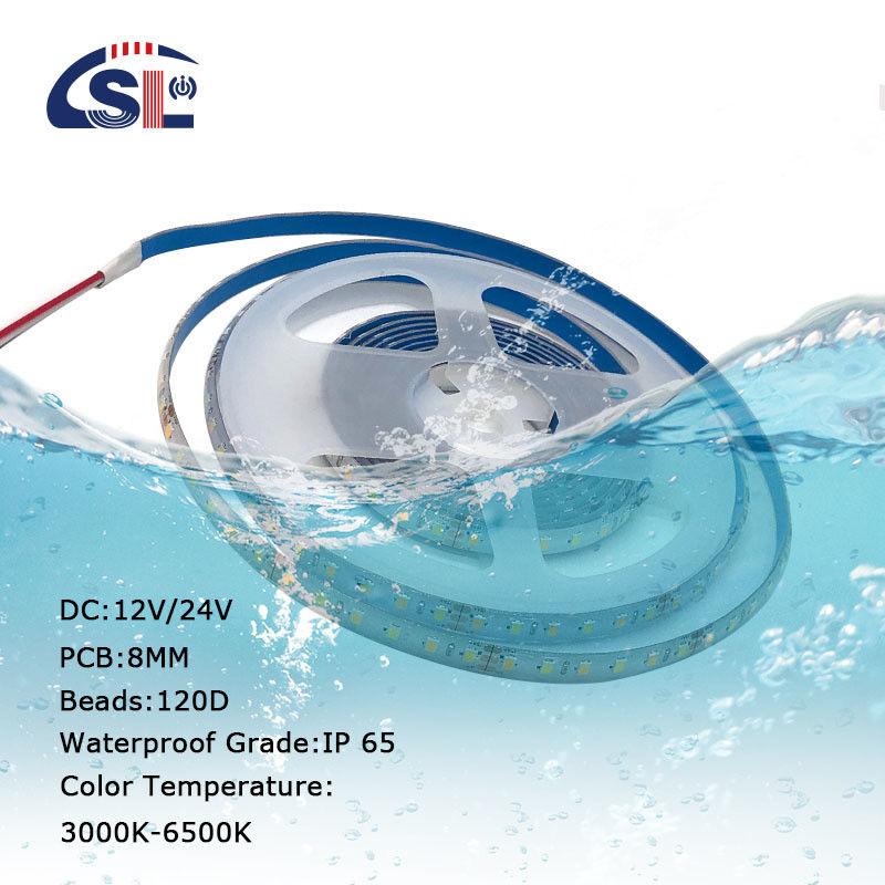 10mm 240LEDs 3000K-6500K CCT 防水 ip65 ダブルカラー SMD2835 LEDストライプライト 12v24v